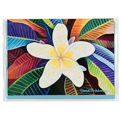 Greeting Card, Plumeria Mandala, David Friedman (H)